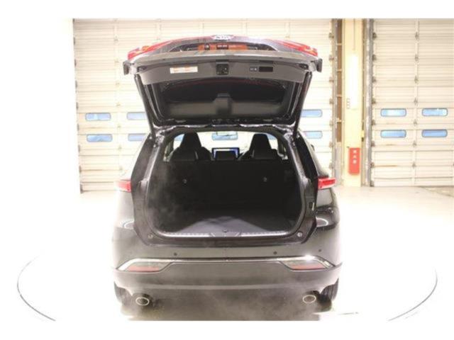 ハリアー（新潟県新潟市東区）