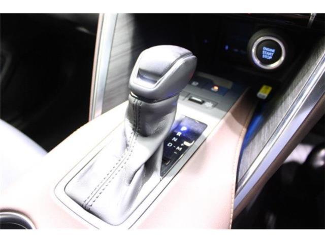 ハリアー（新潟県新潟市東区）