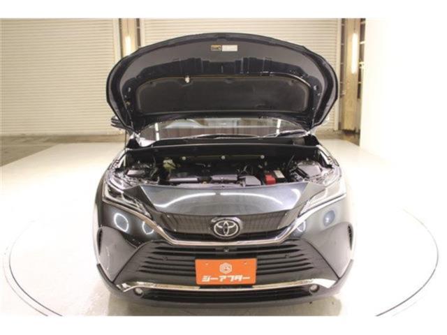 ハリアー（新潟県新潟市東区）