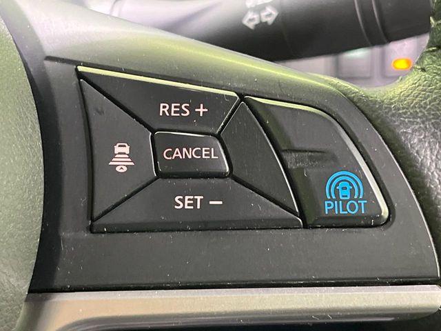 セレナ(新潟県長岡市)