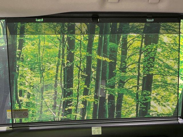 セレナ(新潟県長岡市)