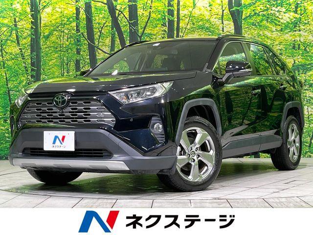 ＲＡＶ４（新潟県長岡市）