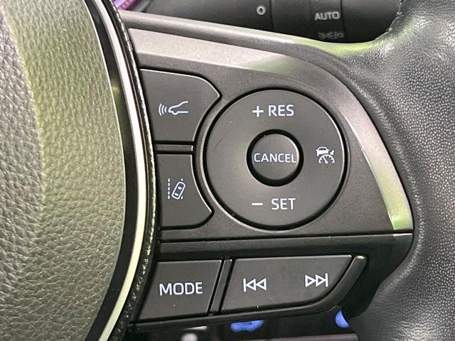 ＲＡＶ４（新潟県長岡市）