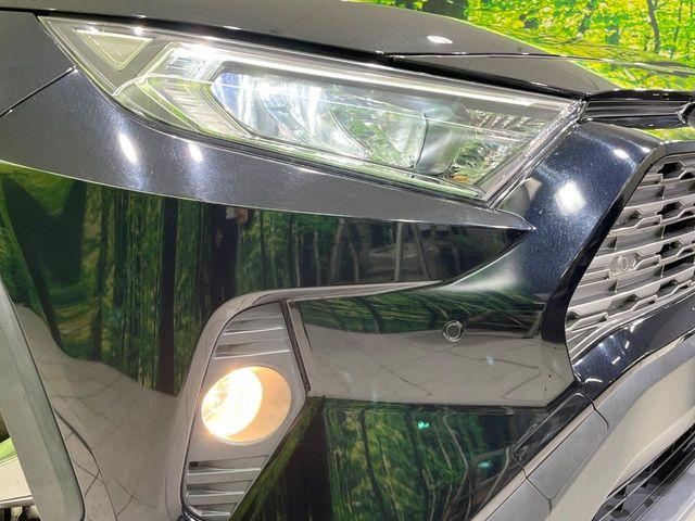 ＲＡＶ４（新潟県長岡市）