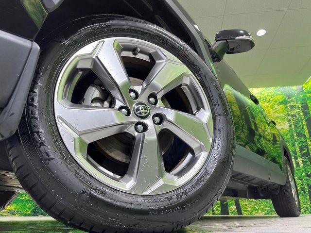 ＲＡＶ４（新潟県長岡市）