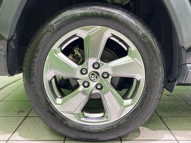 ＲＡＶ４（新潟県長岡市）