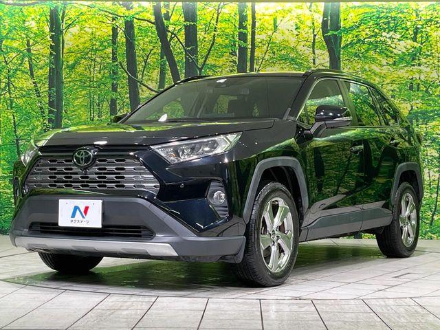 ＲＡＶ４（新潟県長岡市）