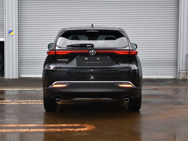 ハリアー（新潟県上越市）画像4