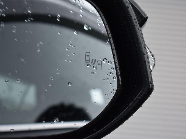 ハリアー（新潟県上越市）画像33