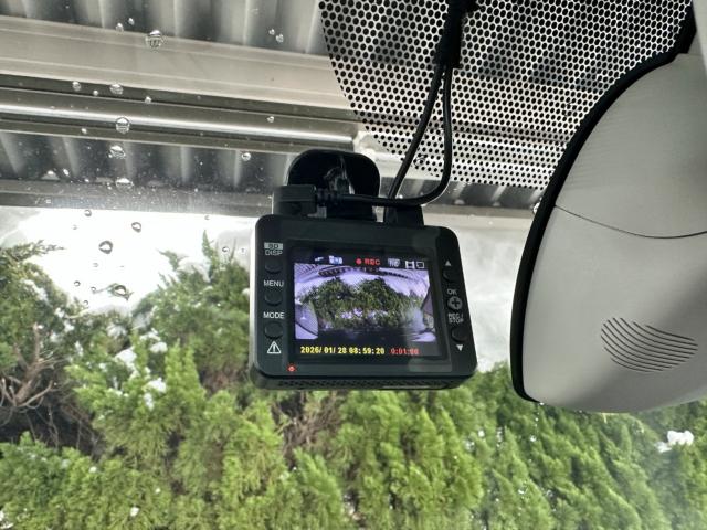 ルノー カングー（新潟県長岡市）