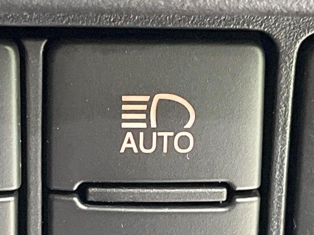 ヴォクシー（新潟県長岡市）