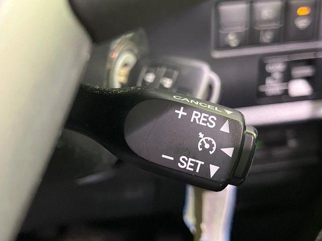 ヴォクシー（新潟県長岡市）