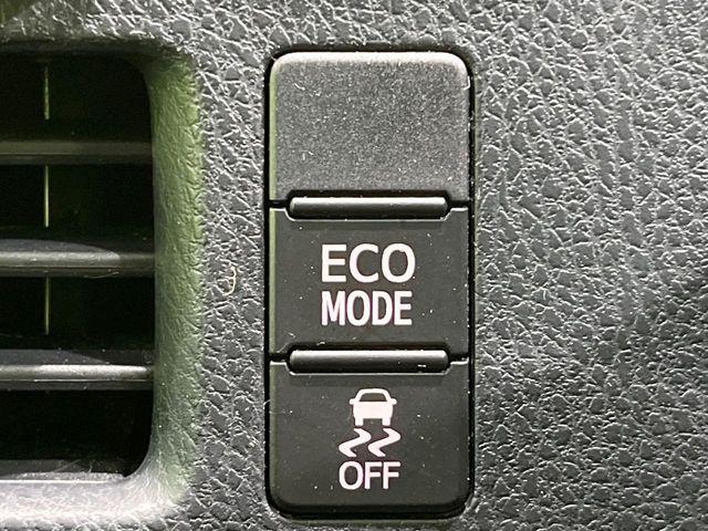 ヴォクシー（新潟県長岡市）