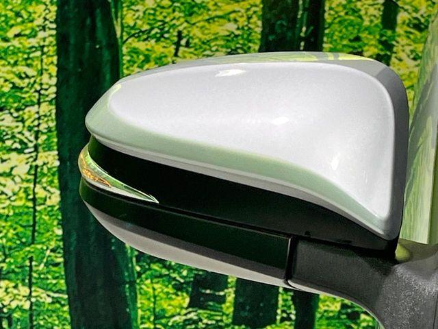 ヴォクシー（新潟県長岡市）