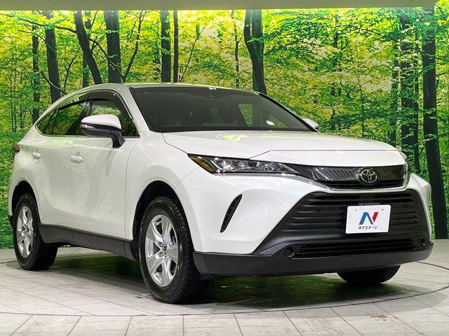 ハリアー（新潟県長岡市）