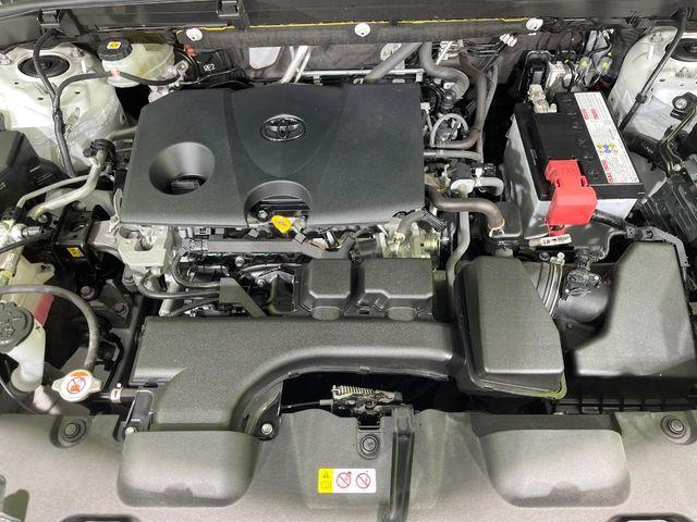 ハリアー（新潟県長岡市）