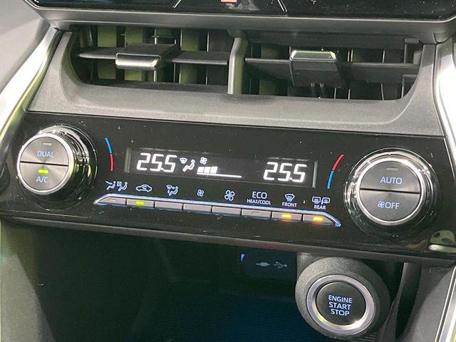 ハリアー（新潟県長岡市）