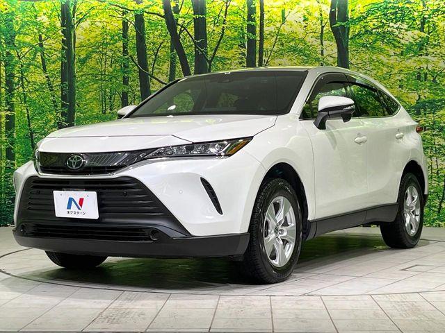 ハリアー（新潟県長岡市）