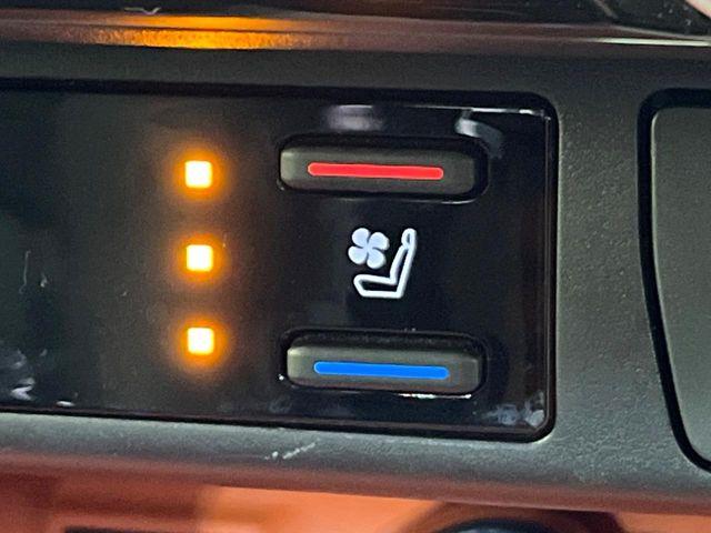 ＲＡＶ４（新潟県新潟市東区）