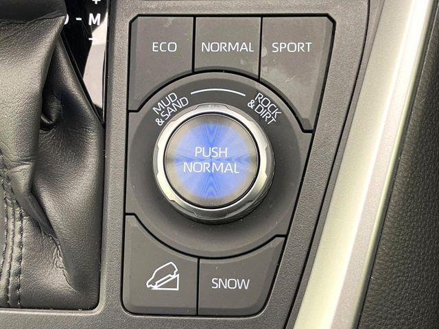 ＲＡＶ４（新潟県新潟市東区）