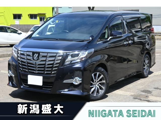 アルファード（新潟県長岡市）