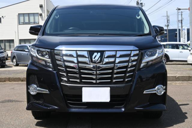 アルファード（新潟県長岡市）