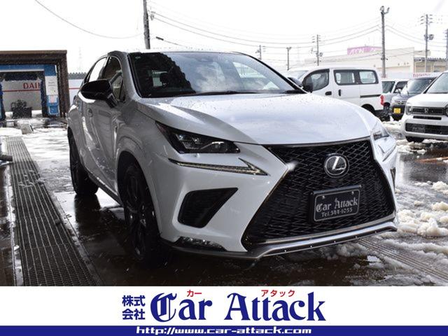 レクサスＮＸ（新潟県上越市）