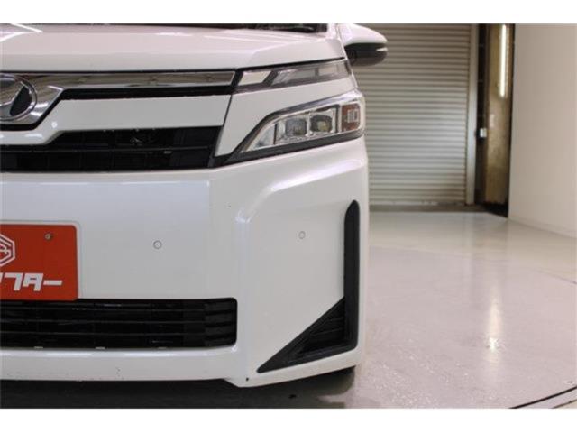 ヴォクシー(新潟県新潟市東区)