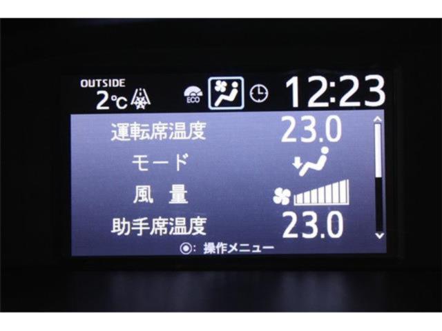 ヴォクシー(新潟県新潟市東区)