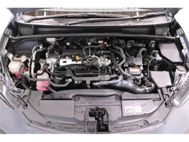 プリウス(新潟県新潟市東区)