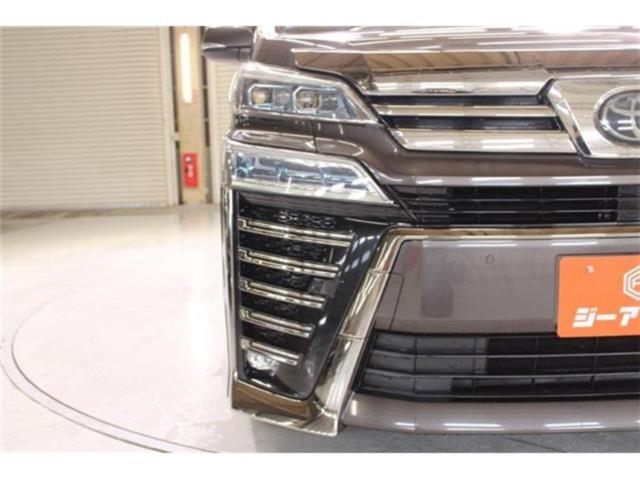 ヴェルファイア（新潟県新潟市東区）