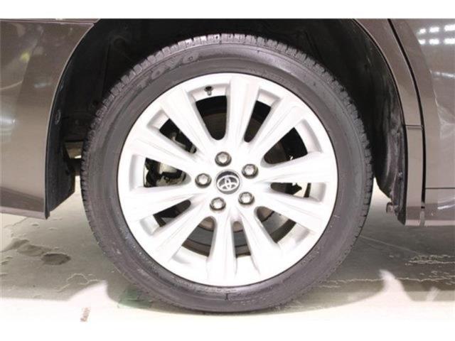 ヴェルファイア（新潟県新潟市東区）