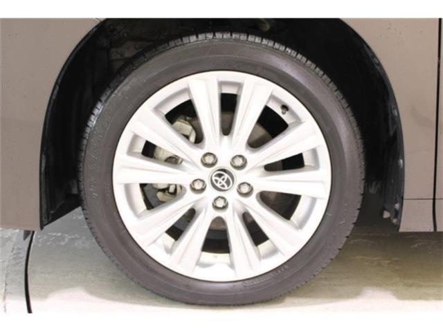 ヴェルファイア（新潟県新潟市東区）