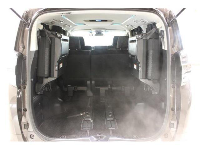 ヴェルファイア（新潟県新潟市東区）