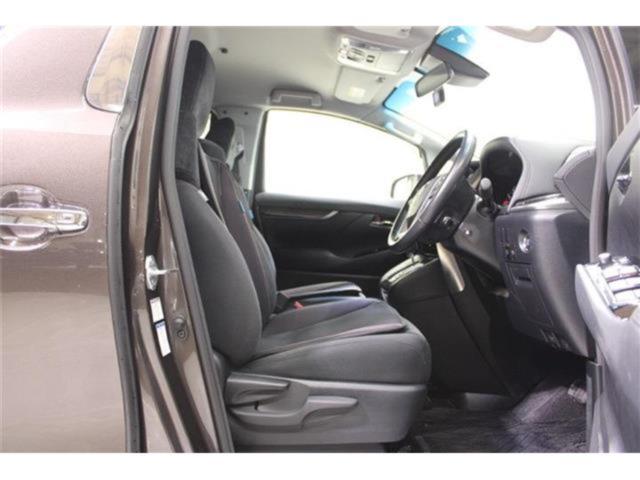 ヴェルファイア（新潟県新潟市東区）