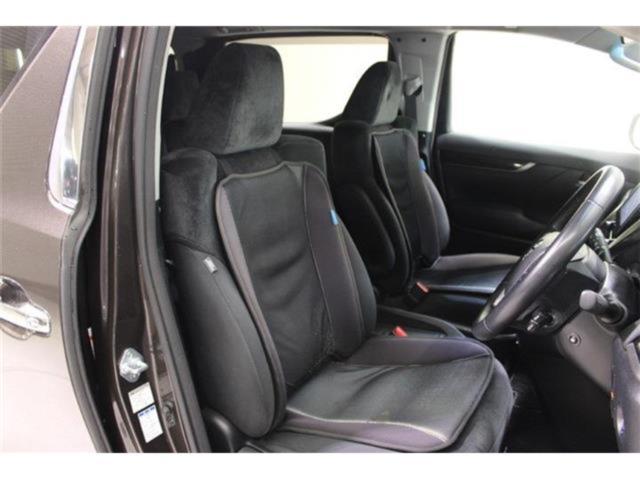 ヴェルファイア（新潟県新潟市東区）