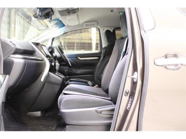 ヴェルファイア（新潟県新潟市東区）