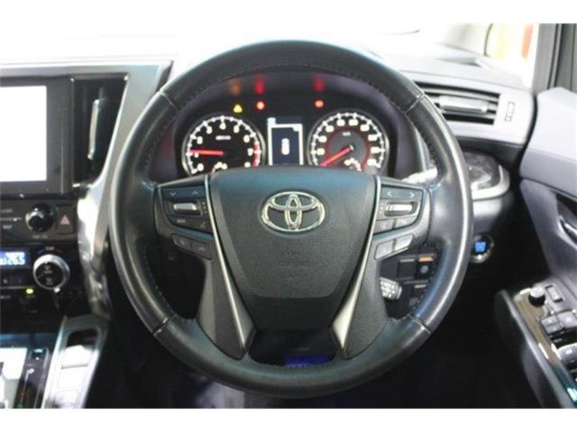 ヴェルファイア（新潟県新潟市東区）