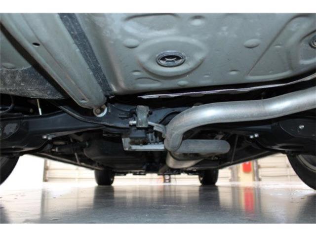 ヴェルファイア（新潟県新潟市東区）