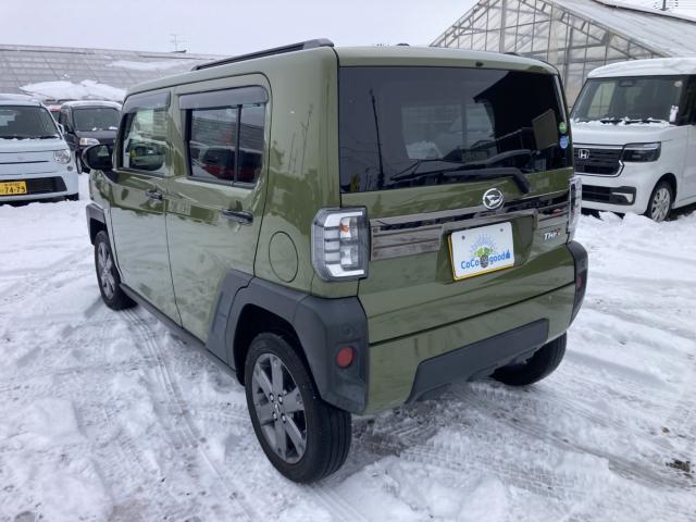 タフト（新潟県新潟市江南区）画像9