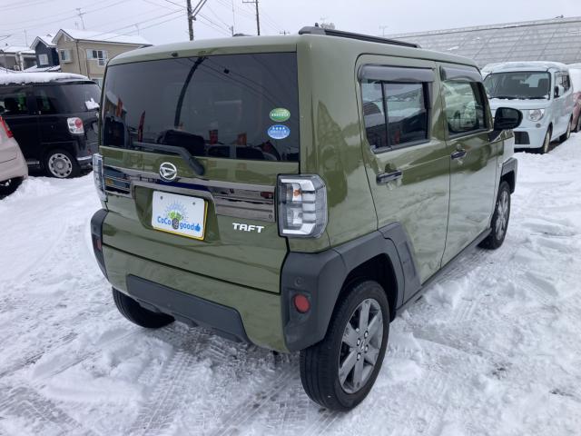 タフト（新潟県新潟市江南区）画像11