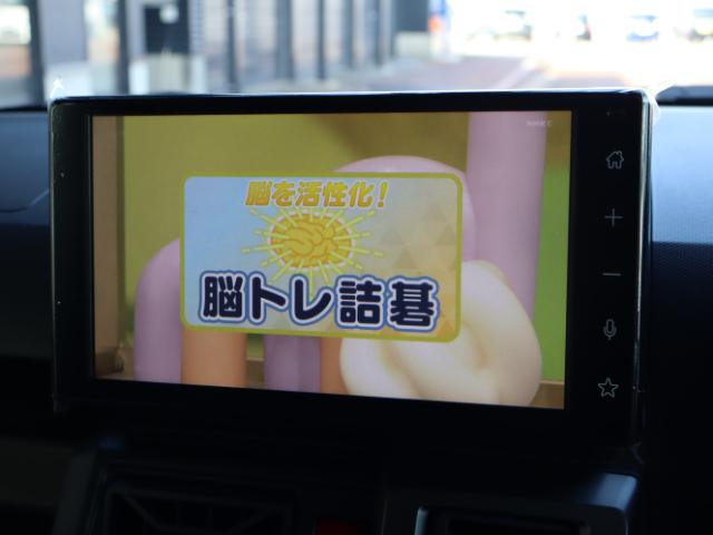 タフト（新潟県新潟市中央区）