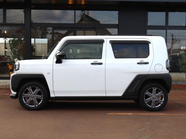 タフト（新潟県新潟市中央区）