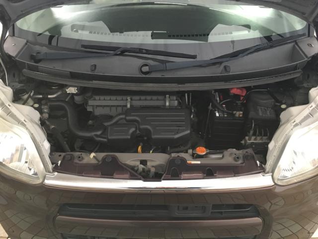 タント(新潟県新潟市西区)