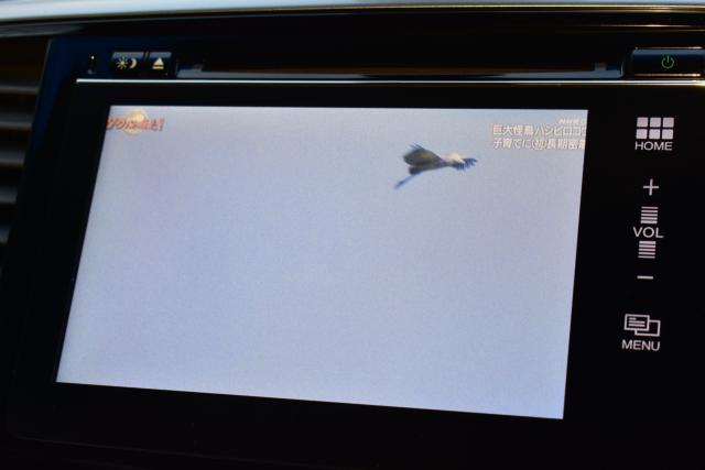 オデッセイ（新潟県新潟市西区）画像46