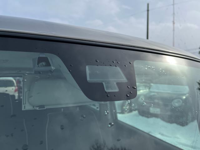 ハスラー（新潟県新潟市西区）