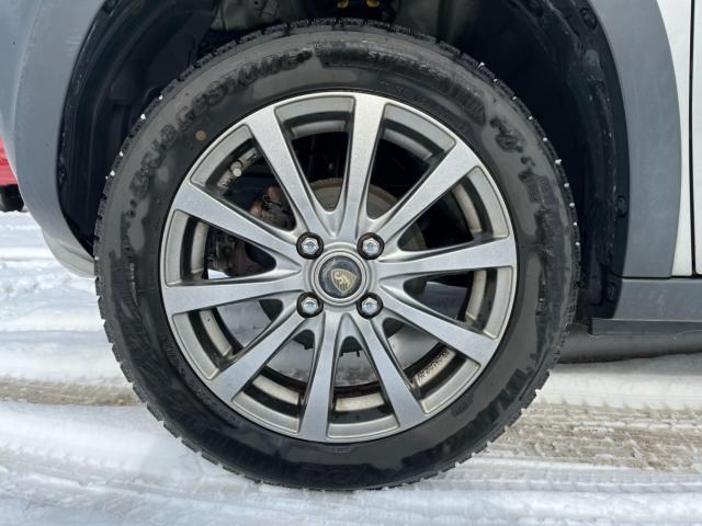 ハスラー（新潟県新潟市西区）