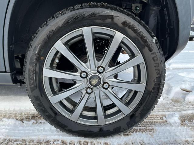 ハスラー（新潟県新潟市西区）