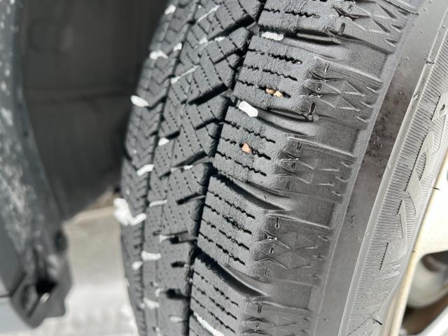 ハスラー（新潟県新潟市西区）