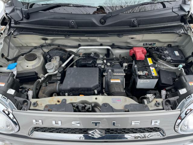 ハスラー（新潟県新潟市西区）